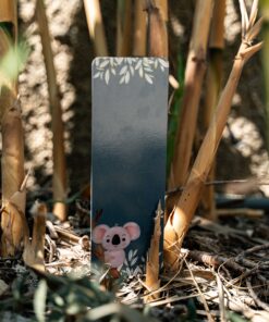 Alternative view of Koala