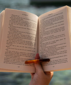 Alternative view of Bruin